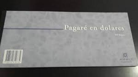 PAGARE IGNEO DOLARES 40HS (x U.)