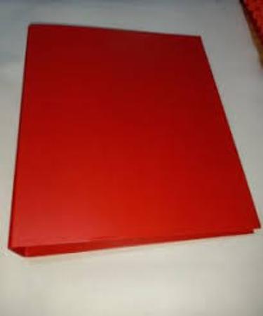 CARPETA 2X40 AVIOS FORRADA A4 - AM (x U.)