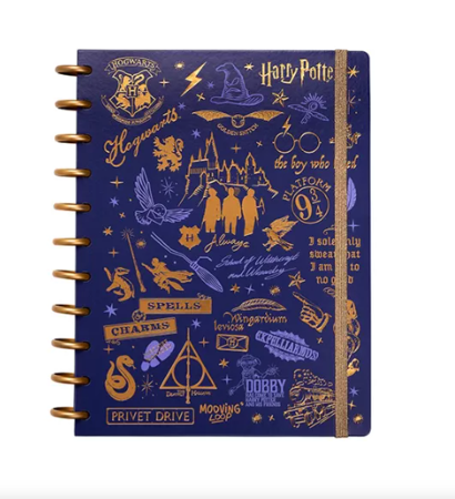 CUADERNO INTELIGENTE MOOVING LOOP CARTA LICENCIA (x U.)