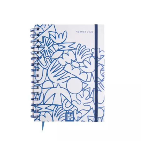 AGENDA PPR 2026 10X15 DXP BLUE (372 PAG) OFI10 (x U.)