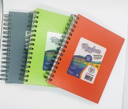 CUADERNO 16X21 TD TRIUNFANTE 120H VINILICA CUADRO (x U.)