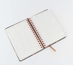 AGENDA FW 2026 15X21 SV - NEO 966 / MINIMALISTA 963 (x U.)