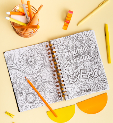 AGENDA PUNTOCERO PERPETUA 2DXP PARA PINTAR - 2204 / 2205