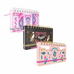 AGENDA FW 2025 POCKET 17X9 SV - ESPIRAL (x U.)
