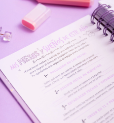 AGENDA PUNTOCERO PERPETUA 2DXP PARA PINTAR - 2204 / 2205