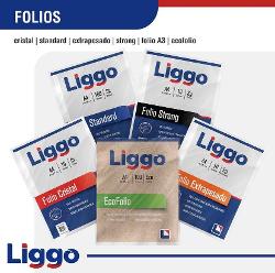 FOLIO LIGGO OF STD X100 (x U.)