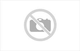 CHINCHE GALERA SIFAP GIGANTE X12 (x caj.)
